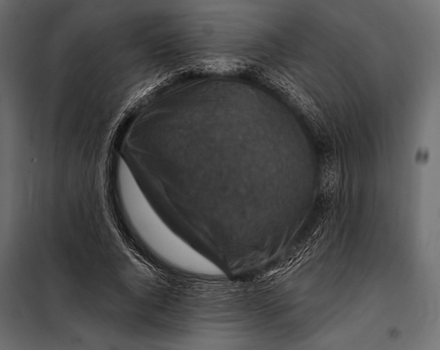 X0000098070736200804251438