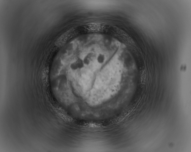 X0000098070737200804251438