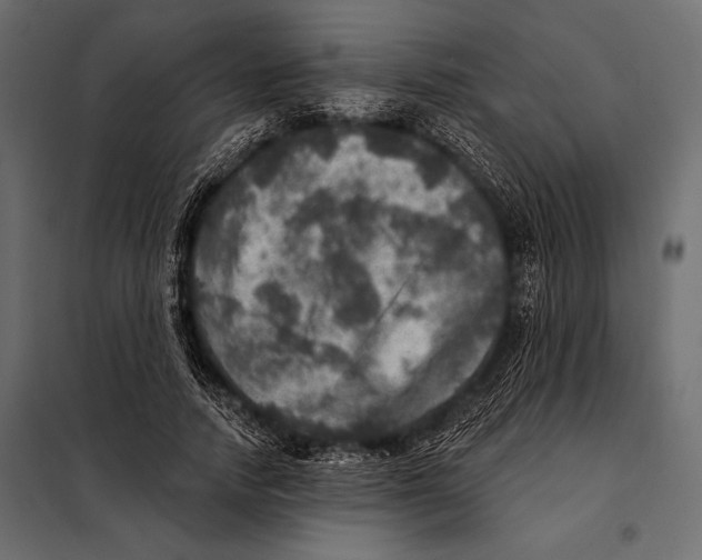 X0000098070738200804251438