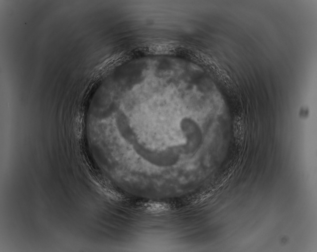 X0000098070741200804251438