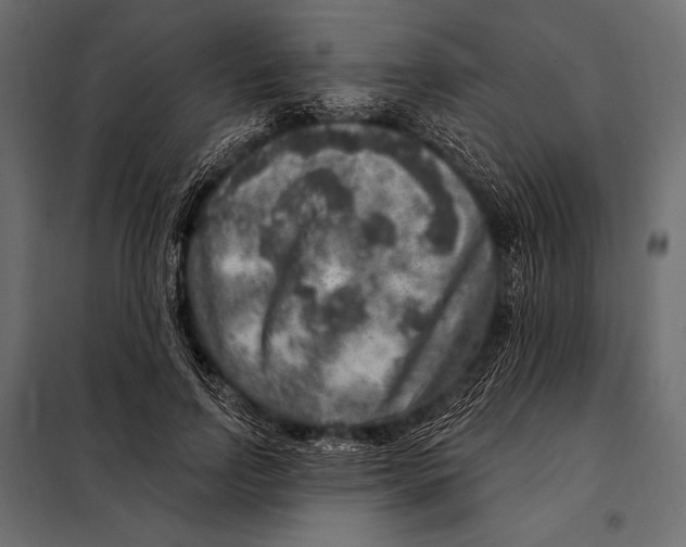 X0000098070742200804251438