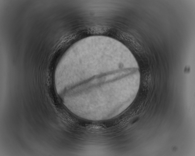 X0000098070743200804251438