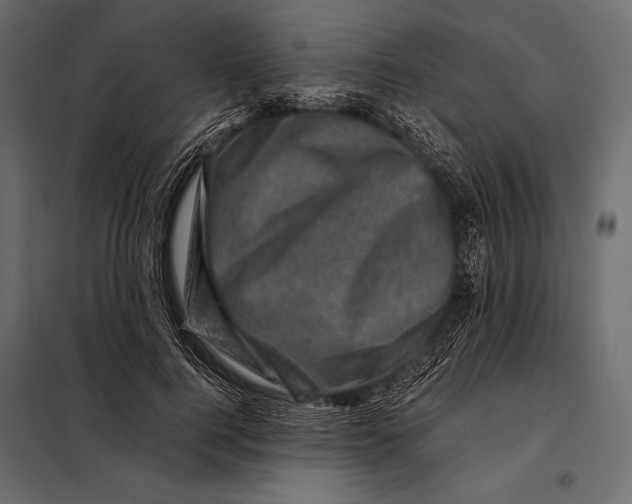 X0000098070744200804251438