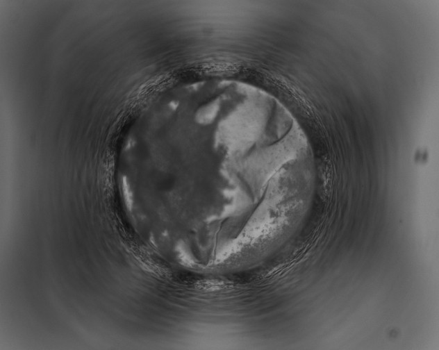 X0000098070745200804251438