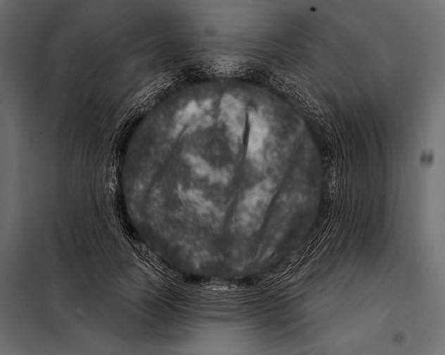 X0000098070746200804251438