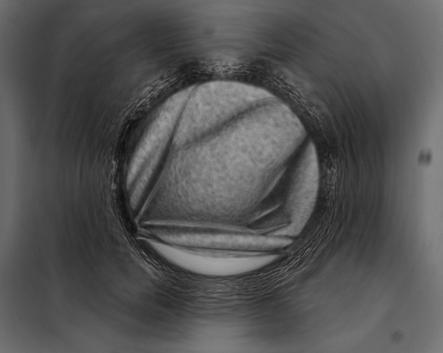 X0000098070750200804251438