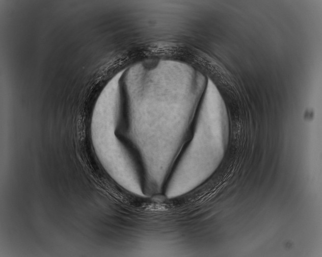 X0000098070751200804251438