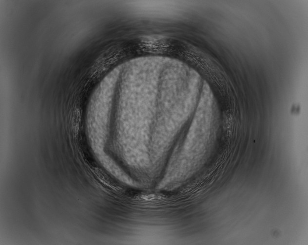 X0000098070752200804251438