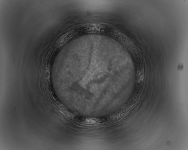 X0000098070753200804251438