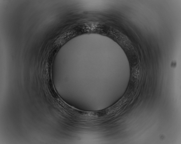 X0000098070754200804251438