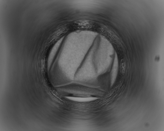 X0000098070756200804251438