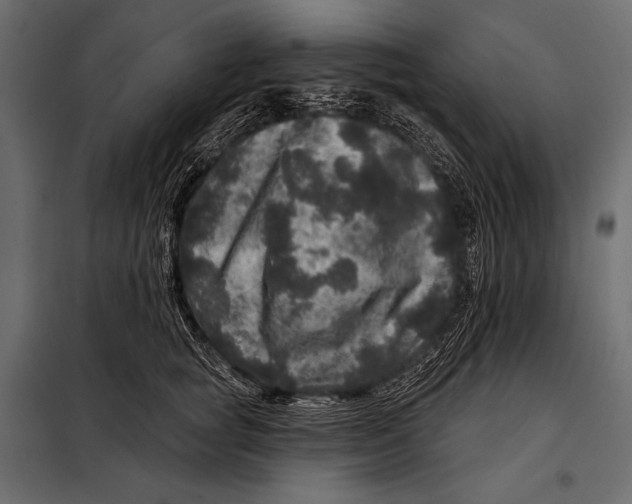 X0000098070757200804251438