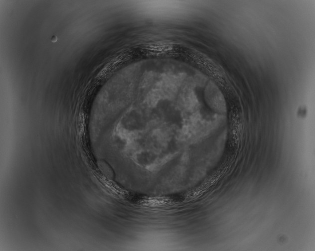 X0000098070758200804251438