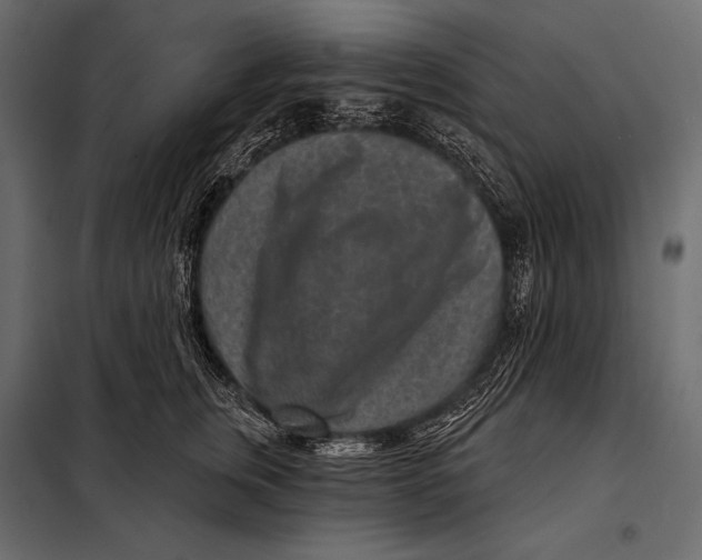 X0000098070759200804251438