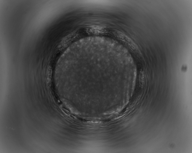 X0000098070760200804251438