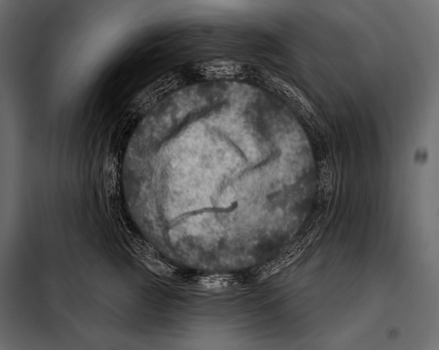 X0000098070761200804251438