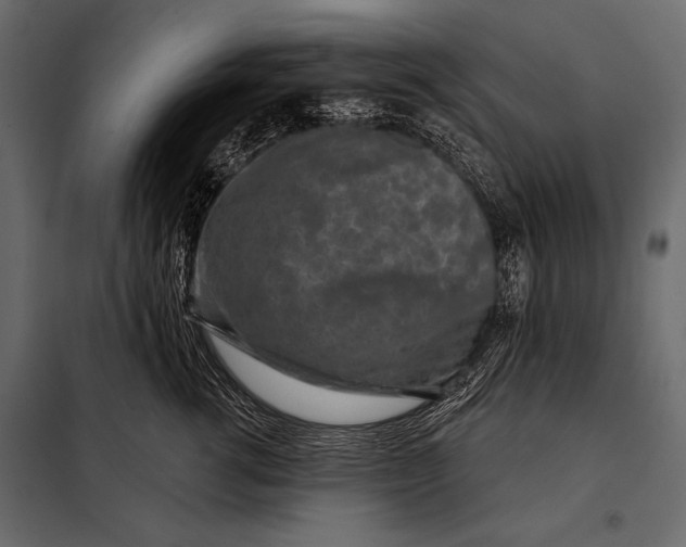 X0000098070762200804251438