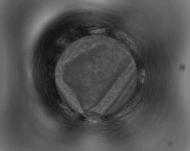 X0000098070763200804251438