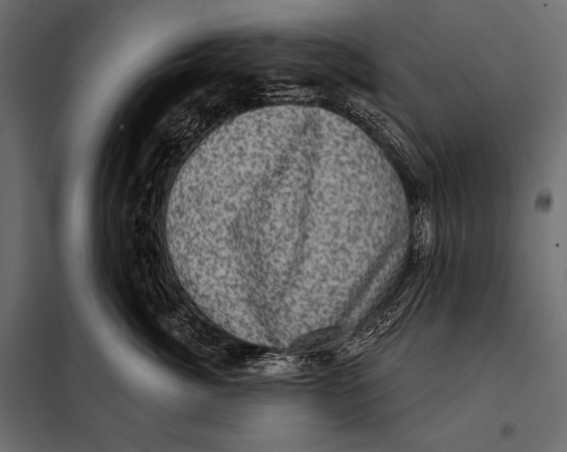 X0000098070764200804251438