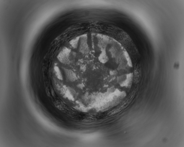 X0000098070765200804251438