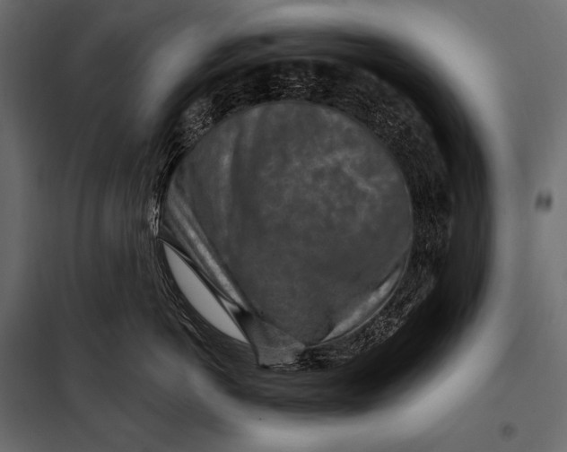 X0000098070766200804251438