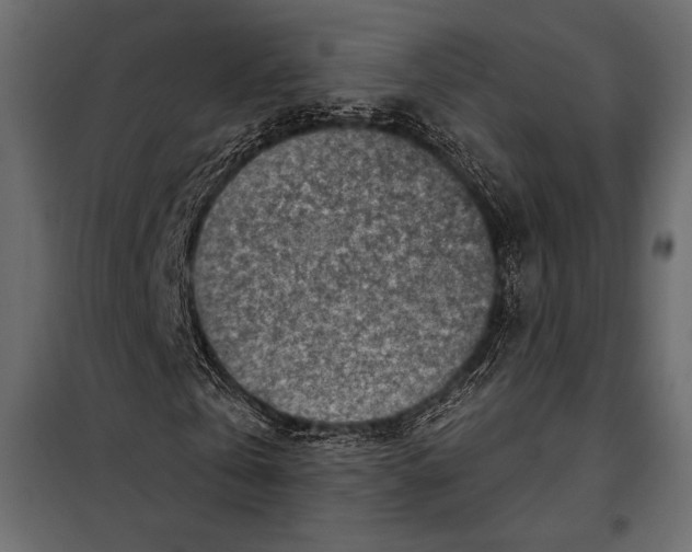 X0000098070769200804251437