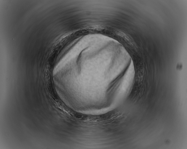 X0000098070773200804251437