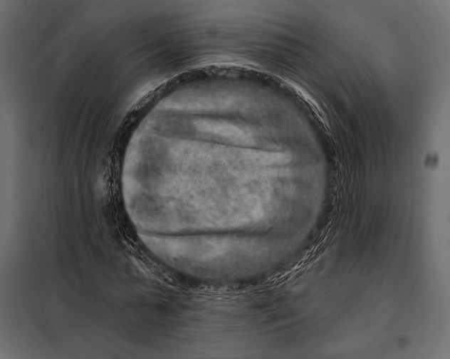 X0000098070775200804251437