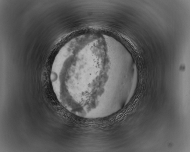 X0000098070776200804251437