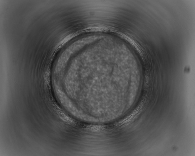 X0000098070778200804251437