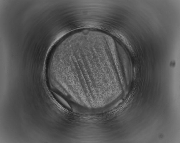 X0000098070780200804251437