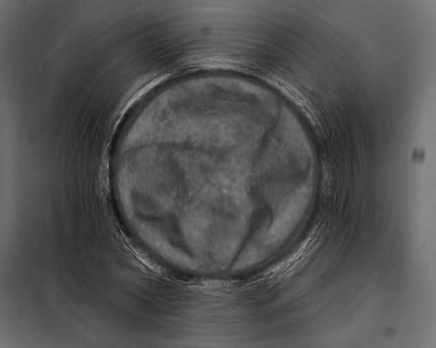 X0000098070782200804251437