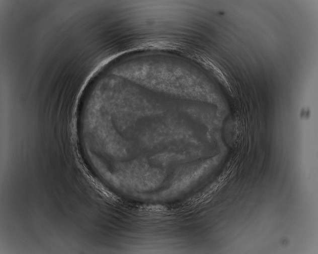 X0000098070784200804251437