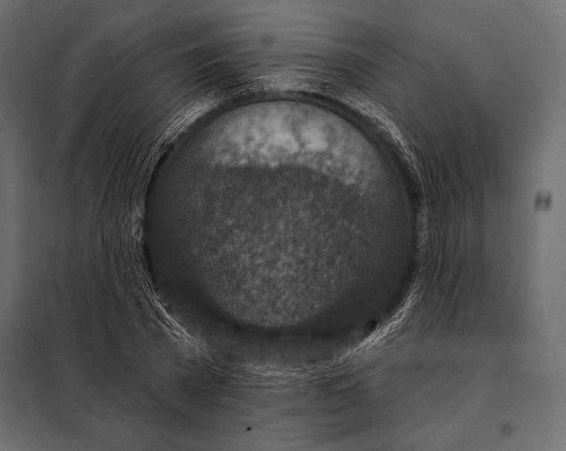 X0000098070785200804251437