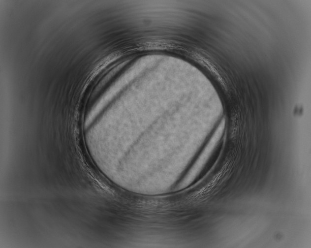 X0000098070786200804251437