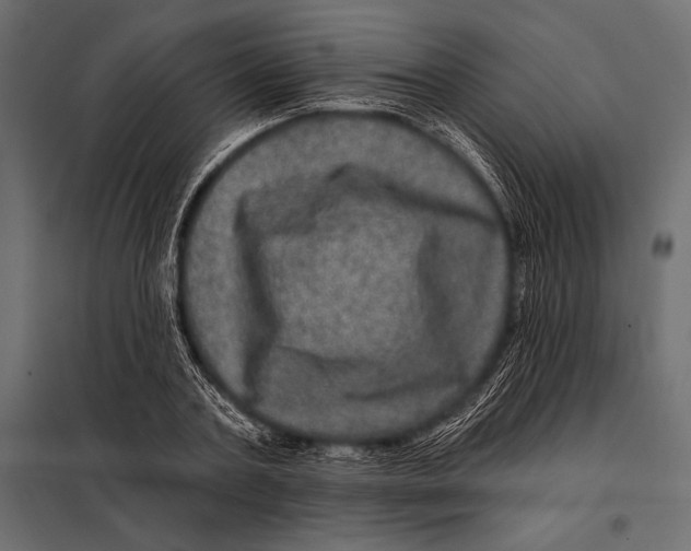 X0000098070787200804251437