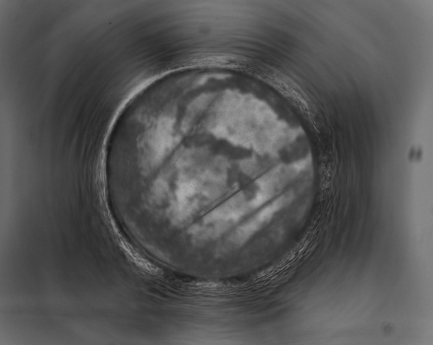 X0000098070792200804251437