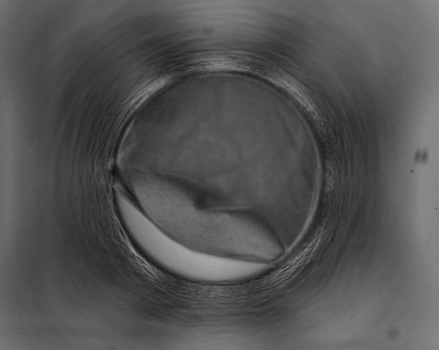 X0000098070793200804251437