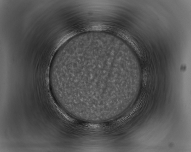 X0000098070794200804251437