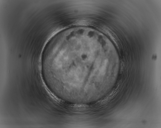 X0000098070795200804251437