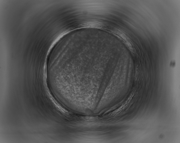 X0000098070796200804251437