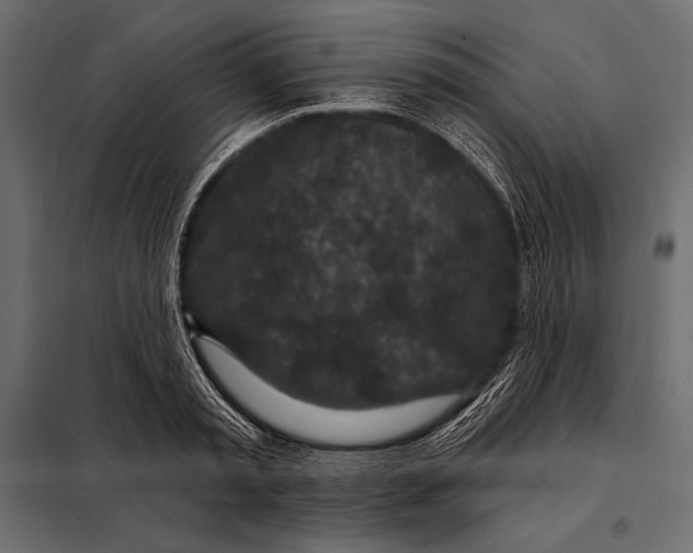 X0000098070797200804251437