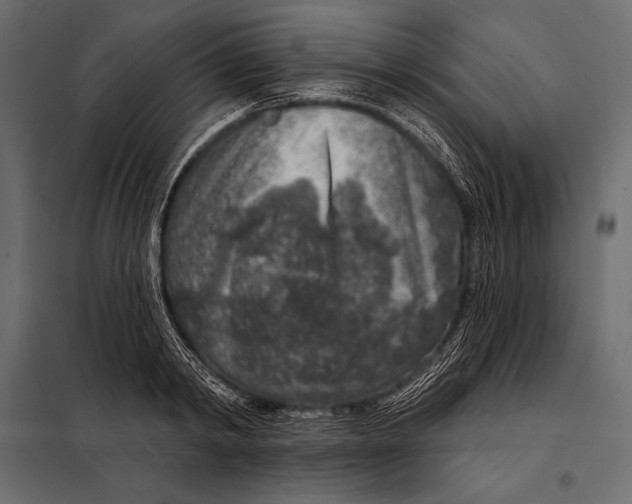 X0000098070798200804251437