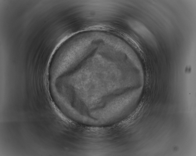 X0000098070800200804251437