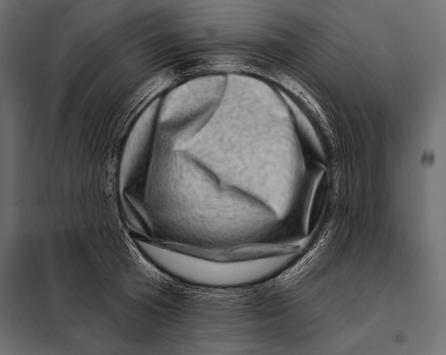 X0000098070801200804251437