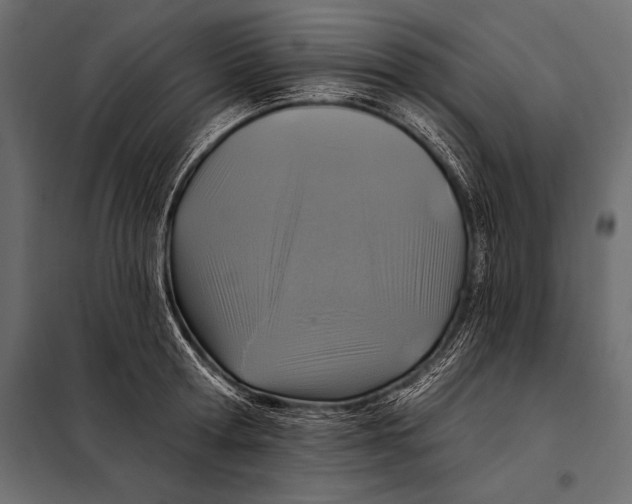 X0000098070802200804251437