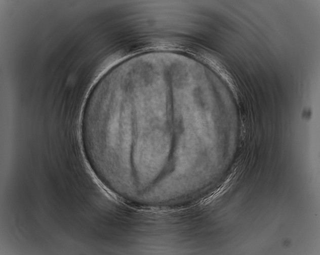 X0000098070803200804251437