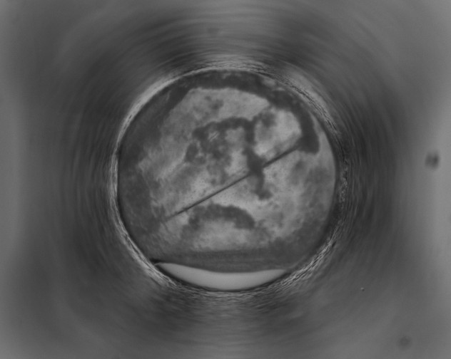 X0000098070804200804251437