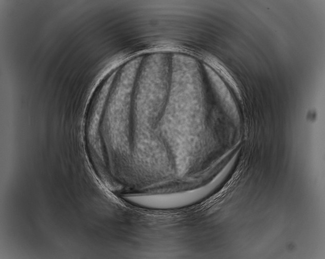 X0000098070805200804251437