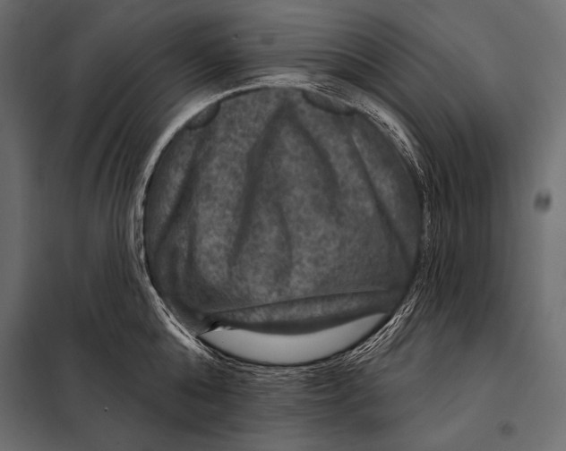 X0000098070808200804251437